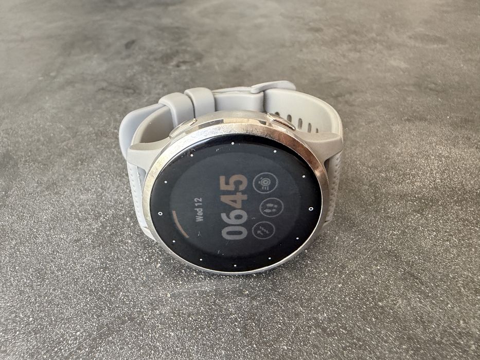 Garmin Vivoactive 4S Cinza