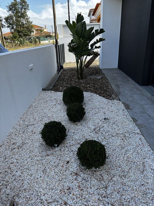 Designer de Exteriores — Projetos 3D + Soluções Completas para Jardins