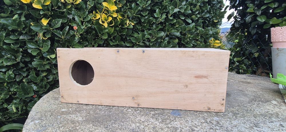 Ninho para agapornis