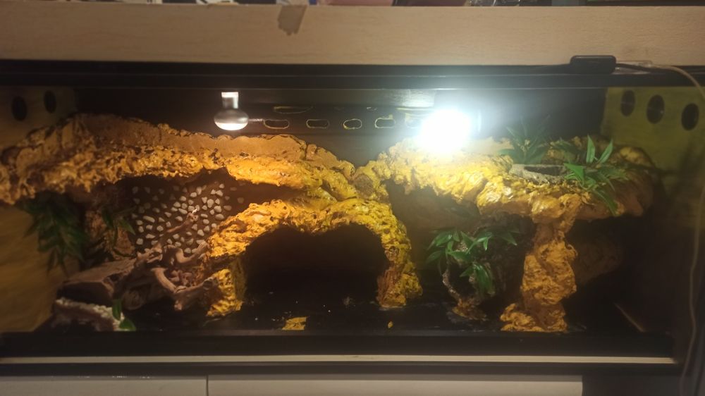 Terrarium duże, ładne plus gadzety