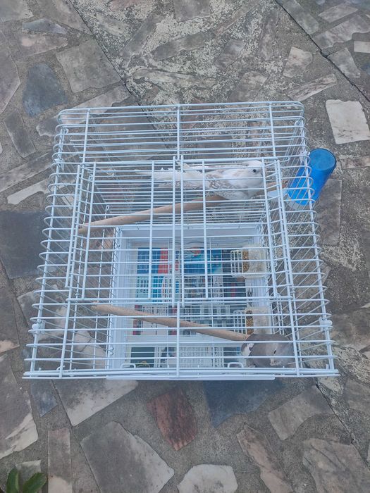 Gaiola para aves de médio porte!!!