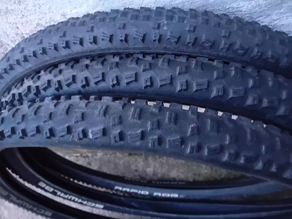 Peneus 29 semi-novos