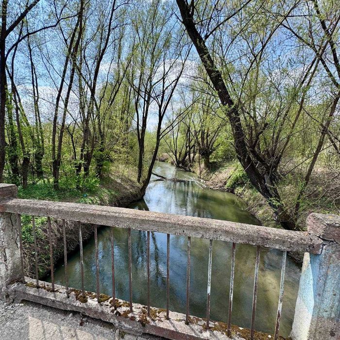 Продається будинок біля дністра у селі Золота Липа