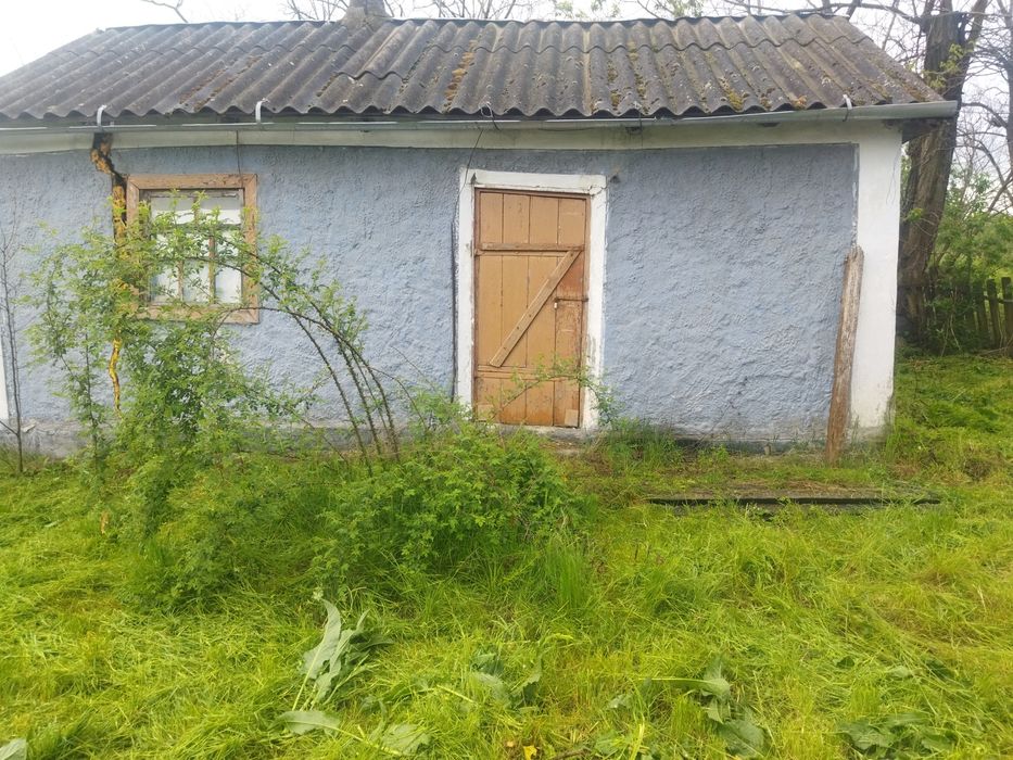 Продається будинок,місце для пасіки