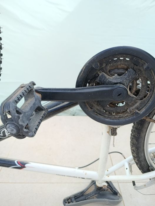 Bicicleta adulto