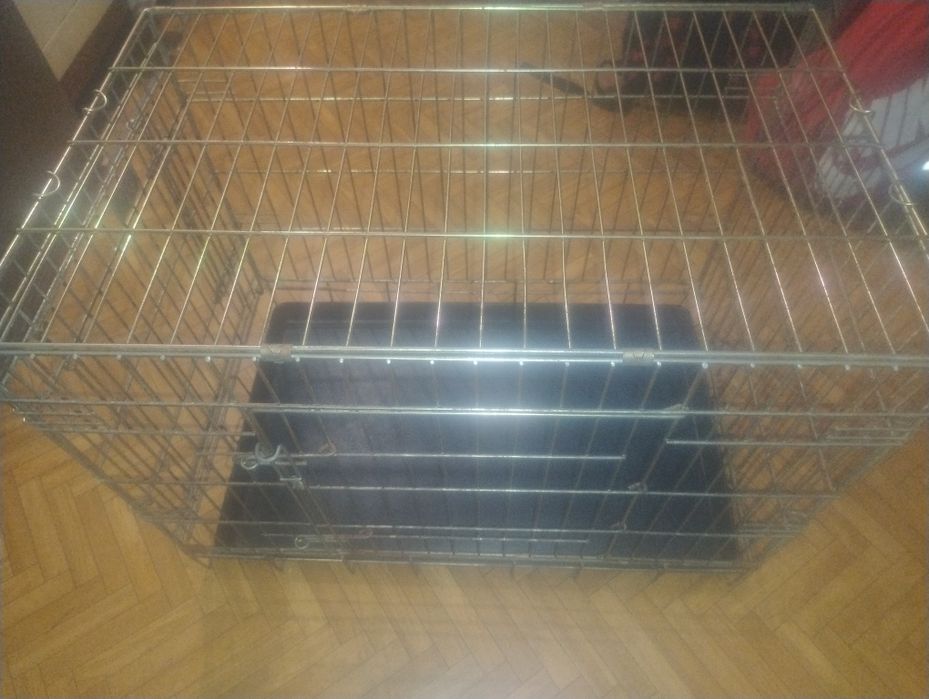 Klatka kenelowa średnia