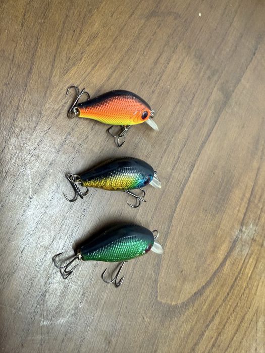 Lote de amostras para pesca