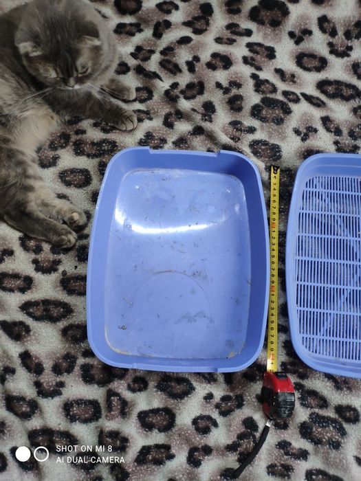 Лоток для котят для опорожнения