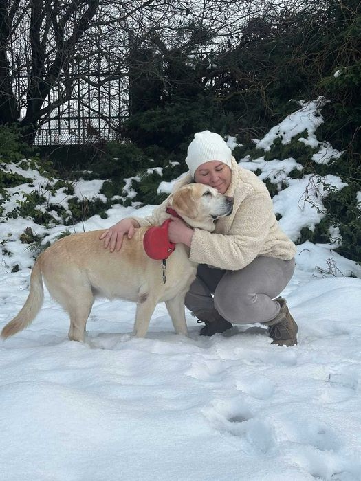 Hotel domowy dla psów Dog Holidays