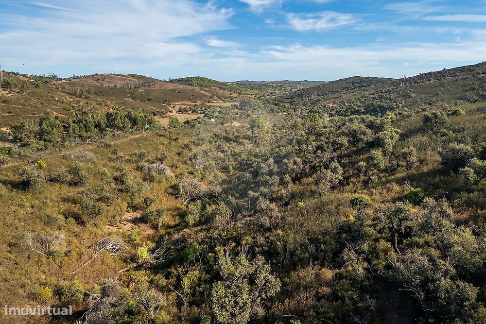 Terreno  para venda