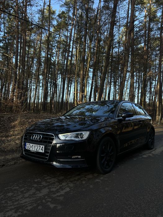 Audi a3 8v 2014 led xenon