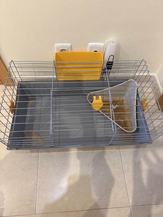 Gaiola coelho e outros roedores