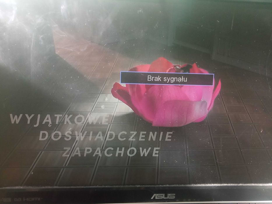 Telewizor monitor Asus