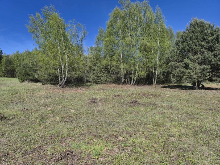 Działka budowlana 1100m2 Wola Morawicka