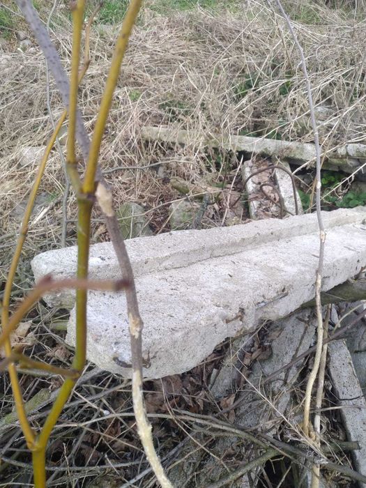 Za darmo to co na foto