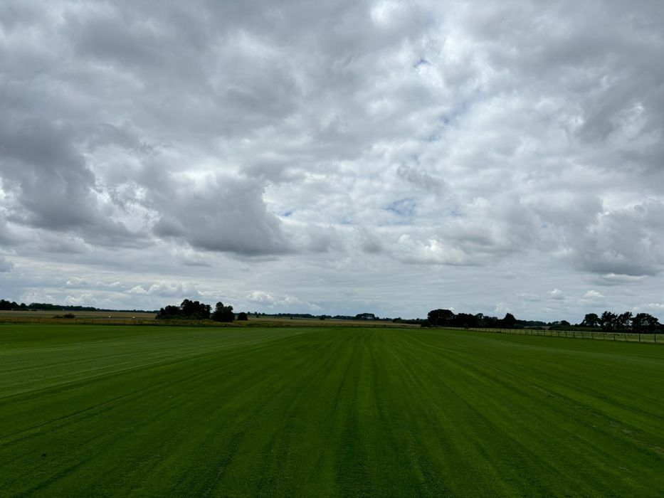 Trawa z rolki, trawnik w rolce 40m2