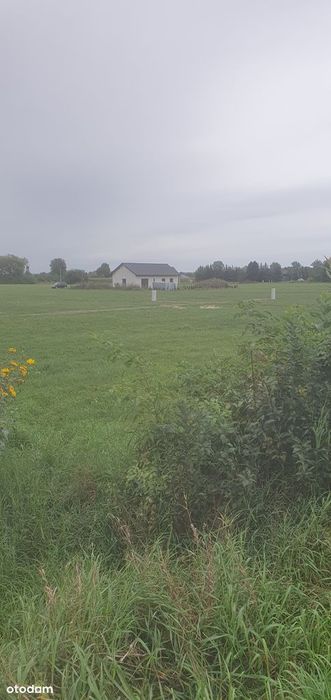 Działka, Ługi Ujskie