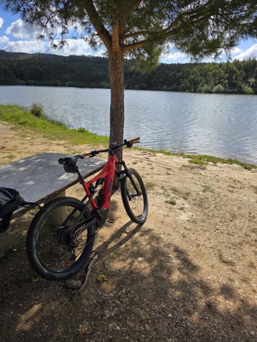 Bicicleta electrica