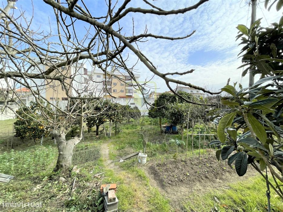 Terreno — Tavarede, Coimbra