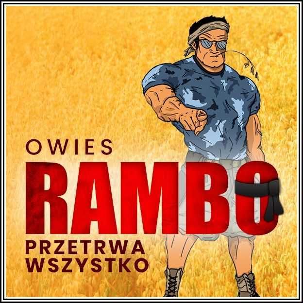 OWIES RAMBO - Przetrwa Wszystko Kwalifikowane Nasiona Owsa Strzelce