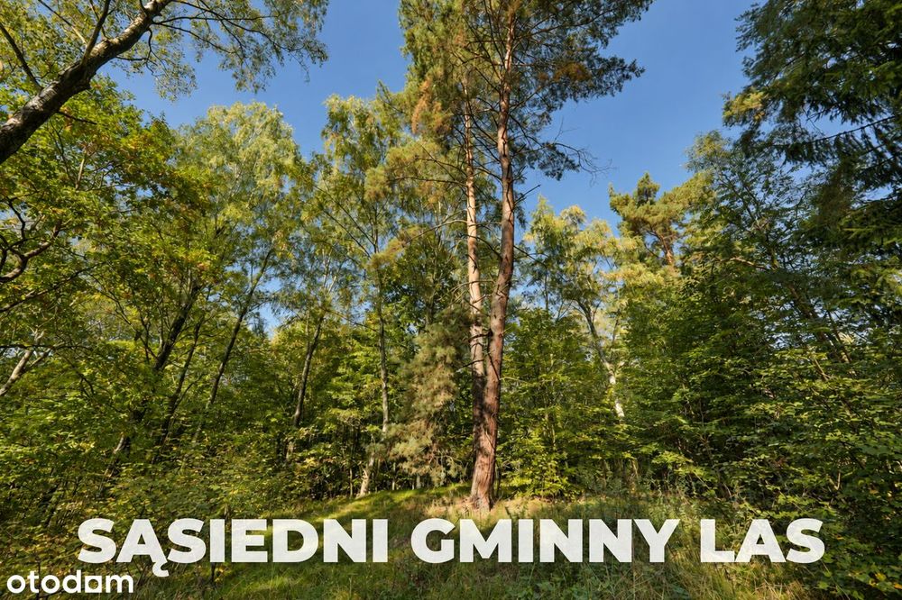 Ubocze | 1051 M²| Działka Przy Lesie| Warunki Zabudowy| Widok Na Góry - Więcej