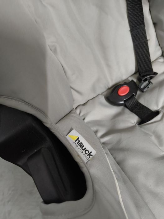 Babycoque cinzento