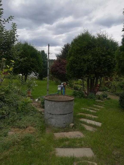 Duża działka ROD Wronki Borek - Widok 2