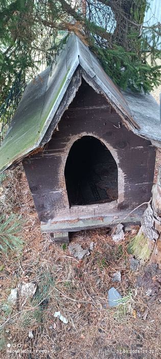 Buda dla psa do renowacji