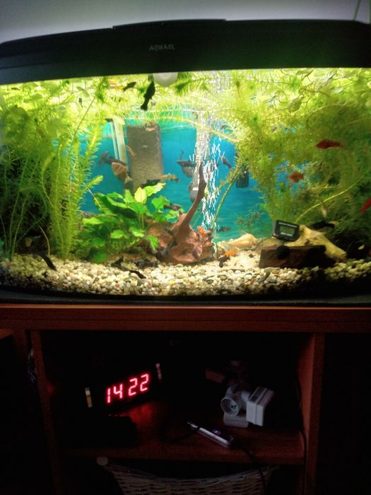 Sprzedam akwarium