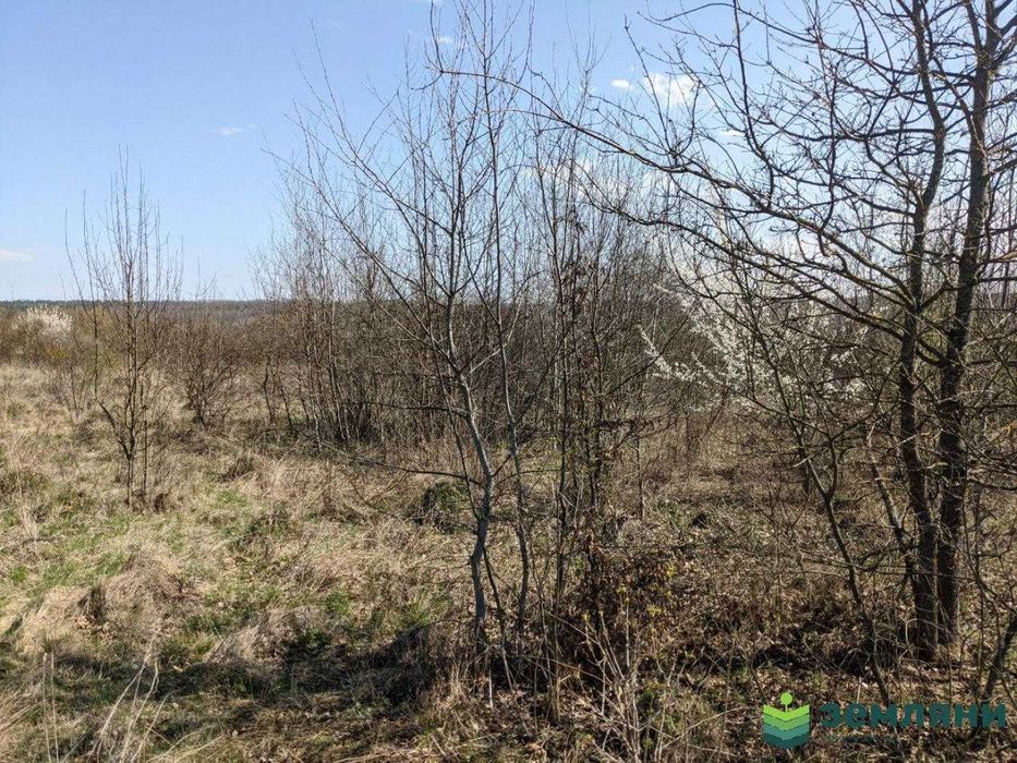 Продається земельна ділянка 15 сот с. Павлівка під будівництво (8)
