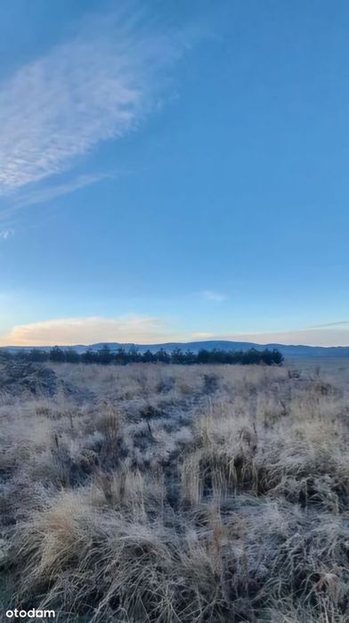 Do sprzedania działka budowlana