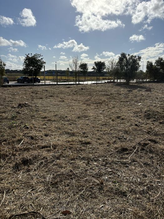 Limpeza e desmatação de terrenos na zona grande lisboa e margem sul