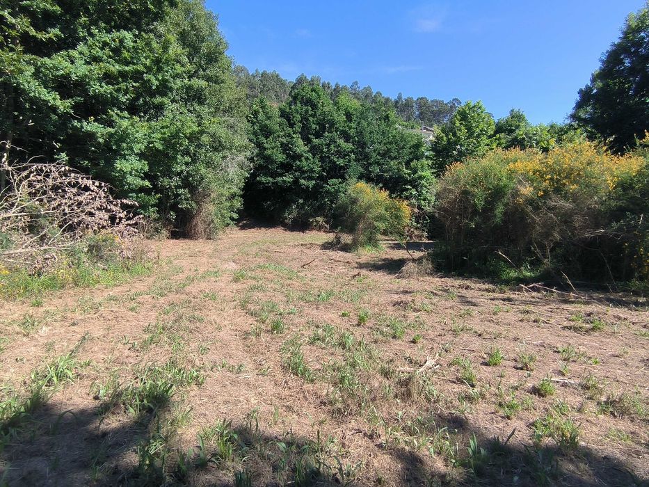 terreno construçao 4200m2