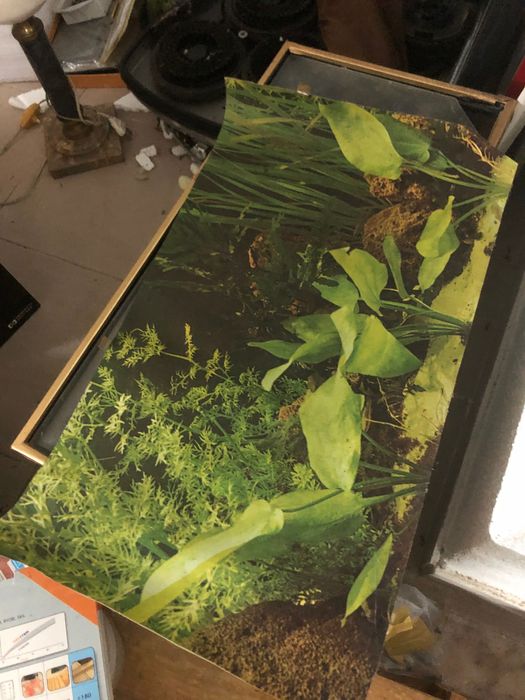 Aquário pronto a usar