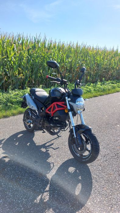 Motorower Romet Pony Monster 50 - 2017