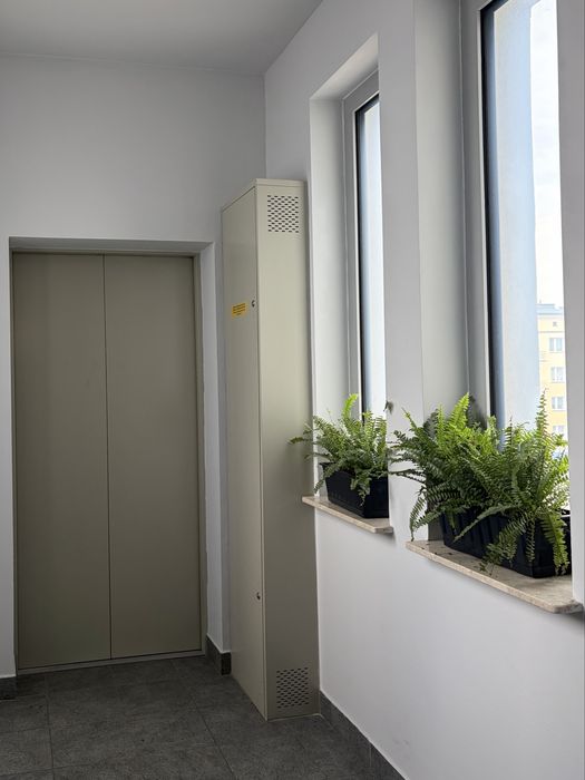 Biuro/biura w centrum miasta