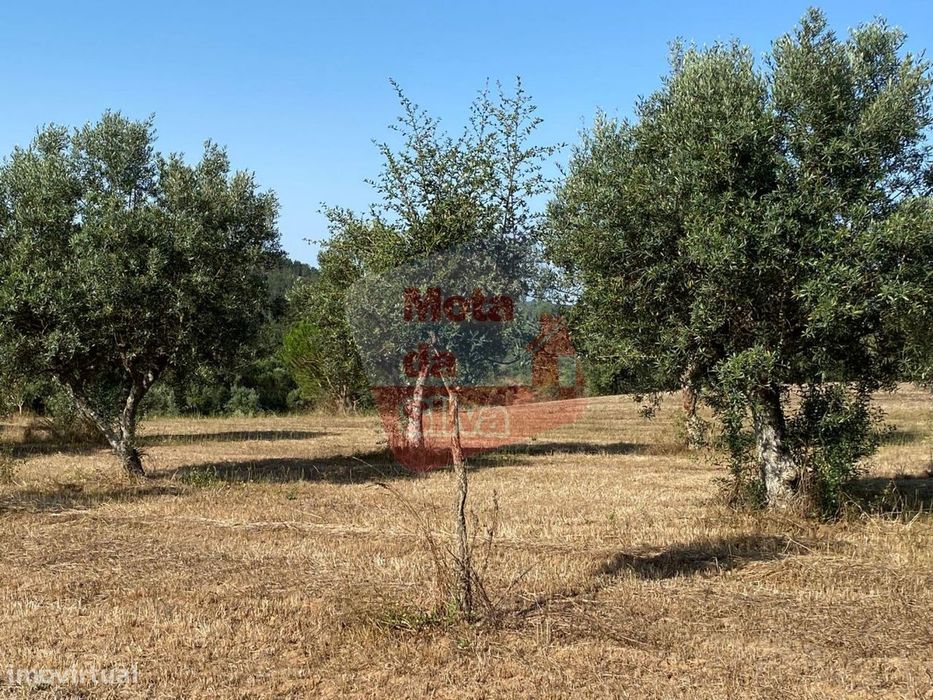 Terreno rústico com construção perto de Melides