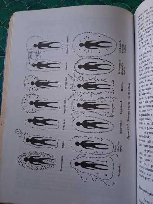 "MÃOS DE LUZ : Guia p/ CURA através Campo Energia Humano" de Barbara Ann Brennan