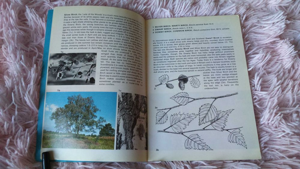 Книга англійська Trees in Britain  Дерева Британії Широколисті кн. 1