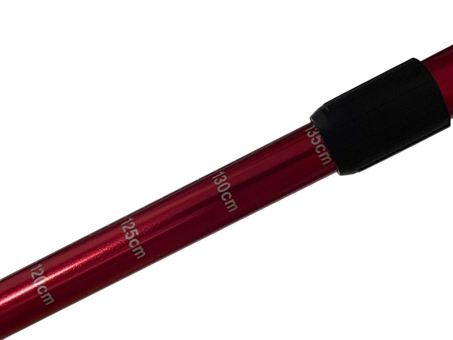 Палиці для скандинавської ходьбі