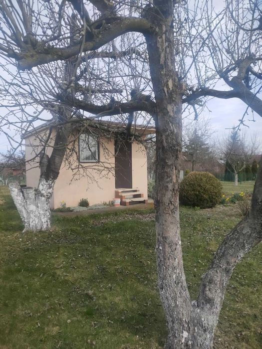 Ogród działkowy 4,5ar  Okazja !