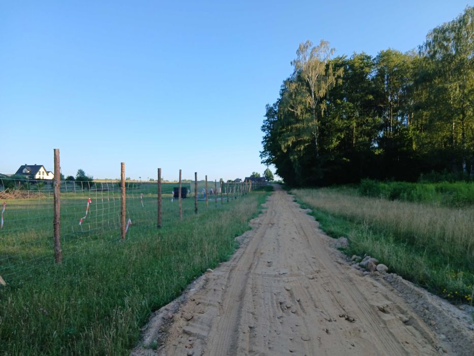 Działka budowlana przy lesie 3000 m², wydane warunki zabudowy, dobry dojazd - A2 do Mińska Mazowieckiego i Warszwy.. - Widok 3