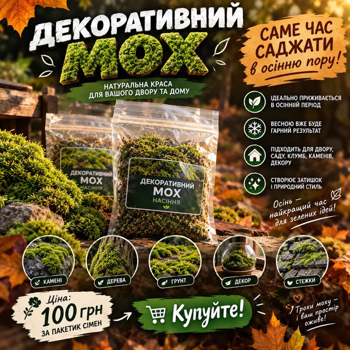 Декоративний мох для саду і декору