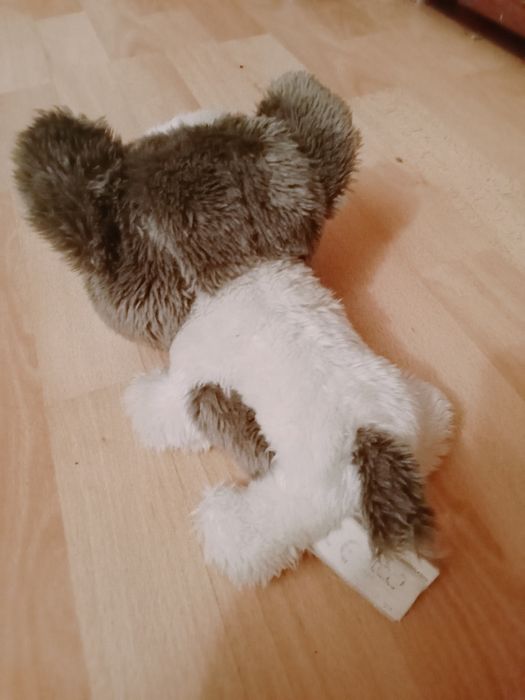 М'які іграшки Єнотик, песик