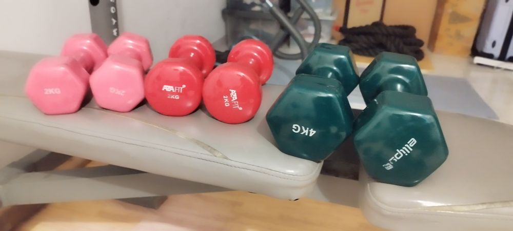 Alteres 2kg e 4kg64174049456258124