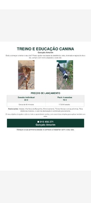 Treino educação canina