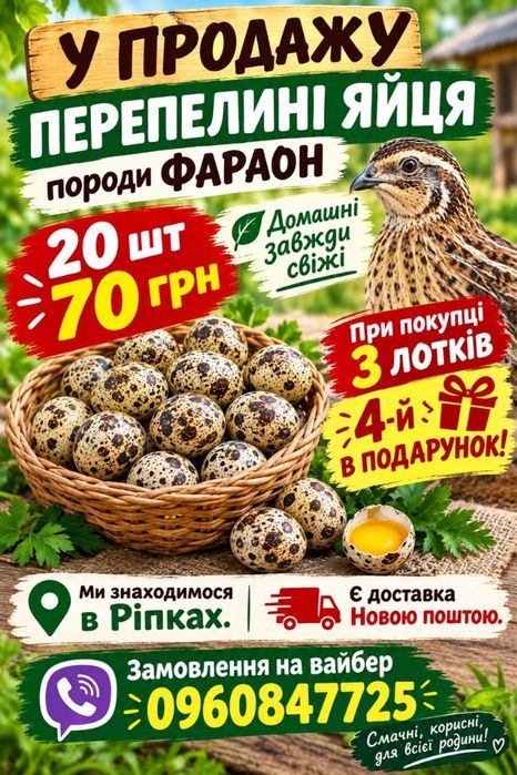Яйце перепілок харчові