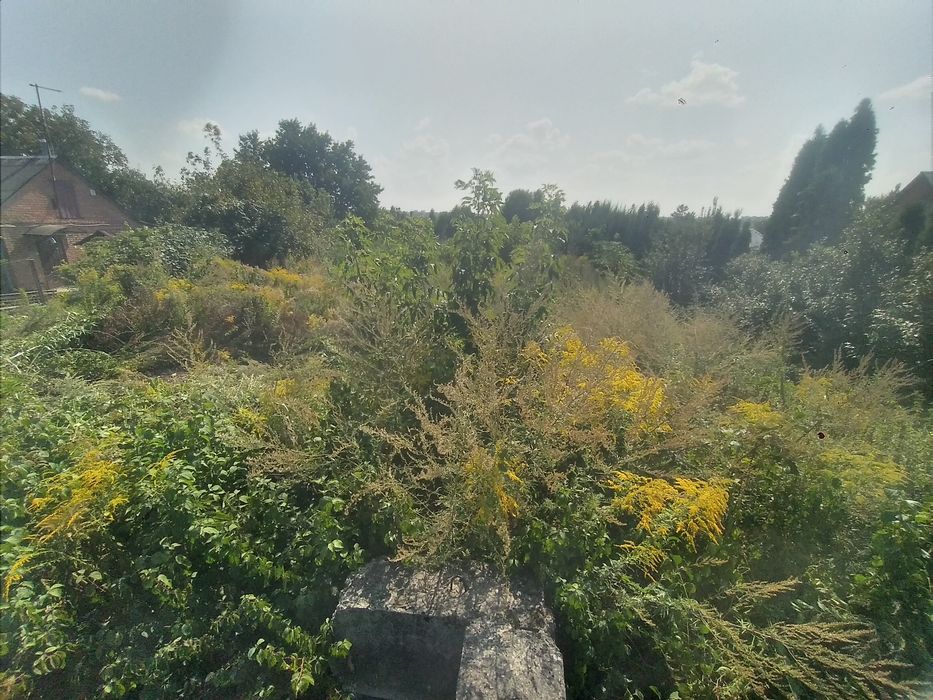 Косіння трави/розчищення ділянок