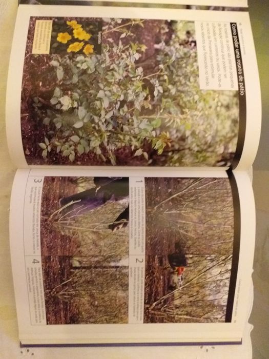 LIVRO " Aprender Jardinagem. PODA FÁCIL