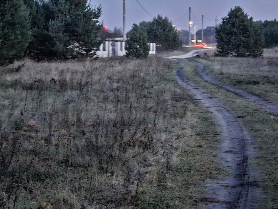 Działka budowlano-rolna 1,1 ha w Łabędziowie gm. Morawica - Widok 5